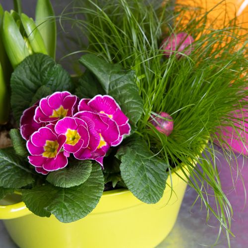 Artículo Jardinera de chapa, decoración primaveral para el salón, 25cm, 3 piezas