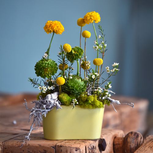 Artículo Cuenco para plantas ovalado amarillo decorativo de plástico 20×10×11cm 3 piezas