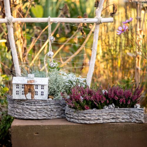 Cuenco para plantas, macetero gris 48,5/31,5 cm, juego de 2
