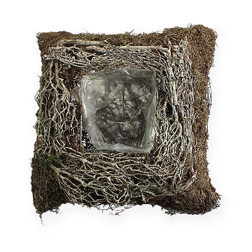 Floristik24 Jardinera cuadrada 20cm x 20cm