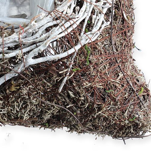 Floristik24 Jardinera cuadrada 20cm x 20cm