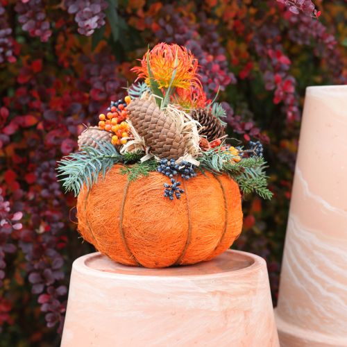Artículo Maceta calabaza decorativa sisal naranja/amarillo-verde Ø21cm H12cm