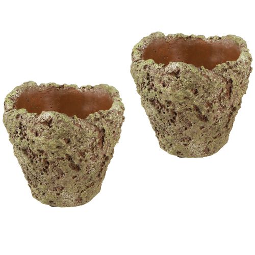 Artículo Macetero rústico con aspecto de bosque Ø12,5cm H12cm 6uds