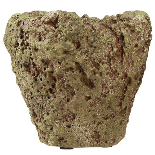 Artículo Macetero rústico con aspecto de bosque Ø12,5cm H12cm 6uds