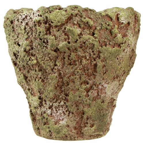 Artículo Macetero macetero rústico verde marrón Ø21cm H19,5cm