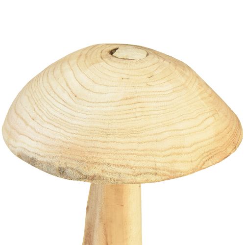 Floristik24 Escultura de seta de madera natural de olmo - Diseño rústico, 37 cm - Elegante decoración de interiores y jardines