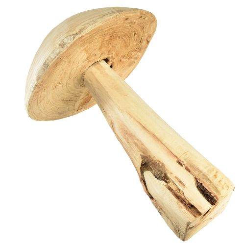 Floristik24 Escultura de seta de madera natural de olmo - Diseño rústico, 37 cm - Elegante decoración de interiores y jardines