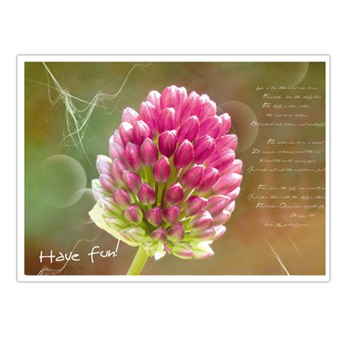 Floristik24 Ordenar postales con motivos florales. 4o