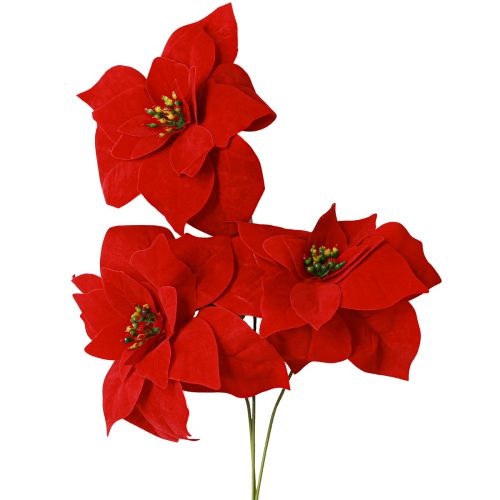 Artículo Magnífica estrella de Navidad - Poinsettia en rojo - 46 cm 6 piezas 2 racimos
