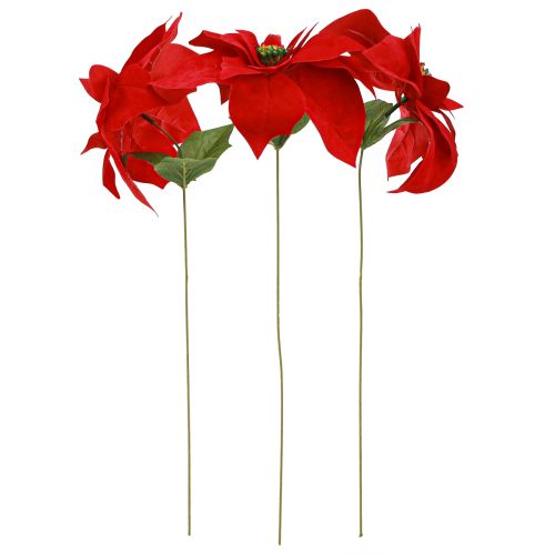 Artículo Magnífica estrella de Navidad - Poinsettia en rojo - 46 cm 6 piezas 2 racimos