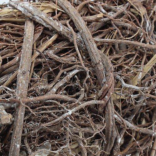 Floristik24 Corona de vid Ø 40cm