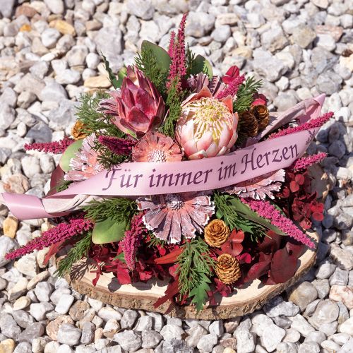 Artículo Protea roseta brezo esmerilado Ø8-9cm 25 uds