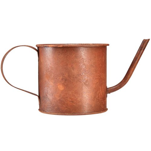 Artículo Regadera decorativa óxido mini macetero de metal Ø10cm H9cm