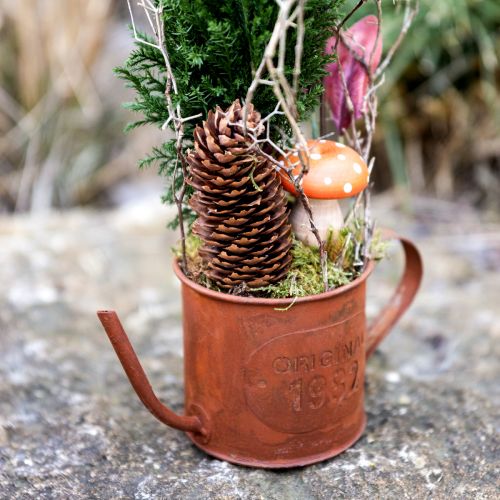 Regadera decorativa óxido mini macetero de metal Ø10cm H9cm
