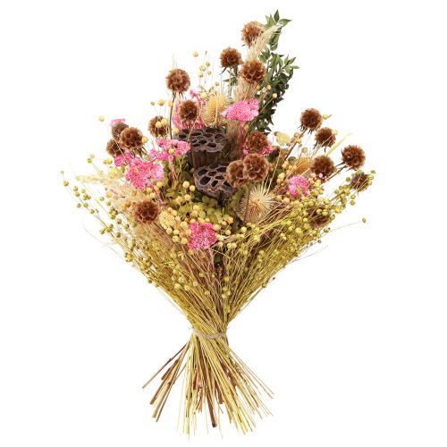 Artículo Flores secas de escabiosa natural secas H50cm 100g