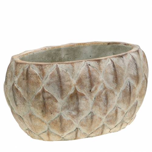 Floristik24 Macetero con motivo de hojas de hormigón ovalado 23 cm