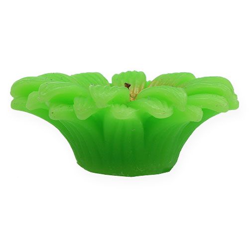 Floristik24 Vela flotante Gerbera Verde Ø7,5cm