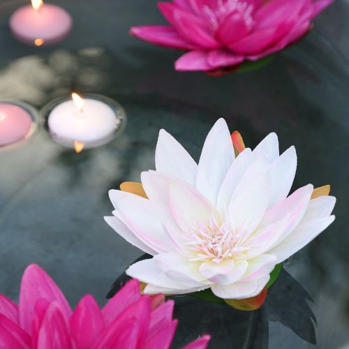 Floristik24 Nenúfares flotantes artificiales decoración de mesa blanco, rosa Ø15cm 2uds