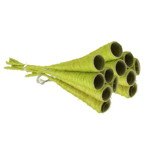 Floristik24 Embudo de sisal verde claro Ø3cm L30cm 12pcs