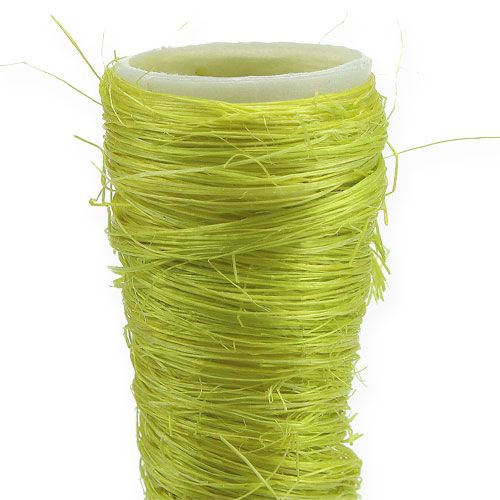 Floristik24 Embudo de sisal verde claro Ø3cm L30cm 12pcs