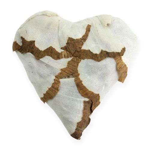Floristik24 Sola Corazón de col 6cm plano 12uds.