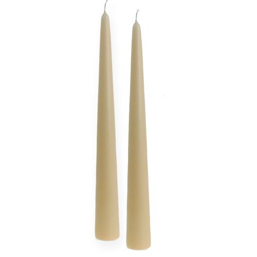 Floristik24 Vela puntiaguda 300/40 crema 8uds