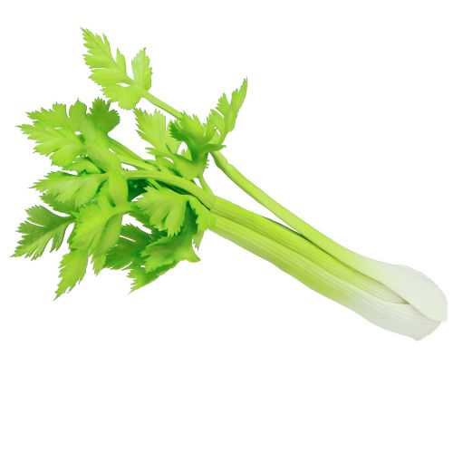 Artículo Decoración vegetal de tallos de apio artificiales con tacto real 30cm