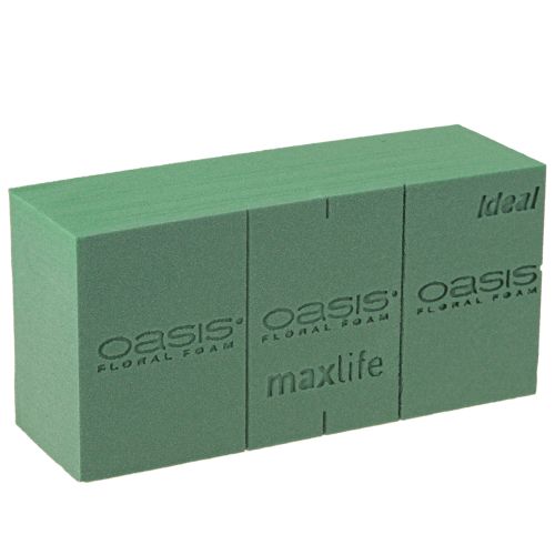 Floristik24 Espuma floral Ideal 20 ladrillos