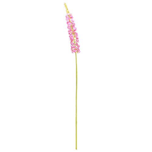 Artículo Vela de estepa Desert Tail Rosa 106cm