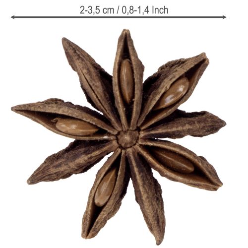 Artículo Artículos de artesanía de decoración de anís estrellado decoración natural anís seco 500g