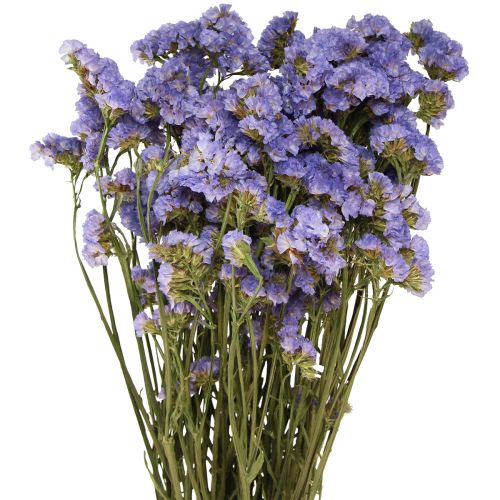 Floristik24 Mar Lila Púrpura Statice Limonium sinuatum Flores Secas 60cm 50g