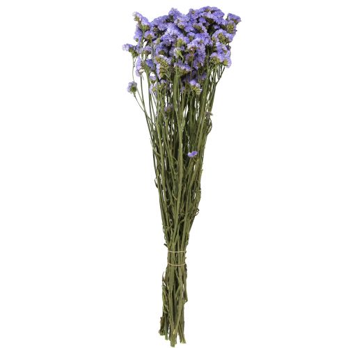 Floristik24 Mar Lila Púrpura Statice Limonium sinuatum Flores Secas 60cm 50g