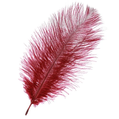 Artículo Plumas de avestruz plumas reales decoración vino rojo 20-25cm 12 piezas