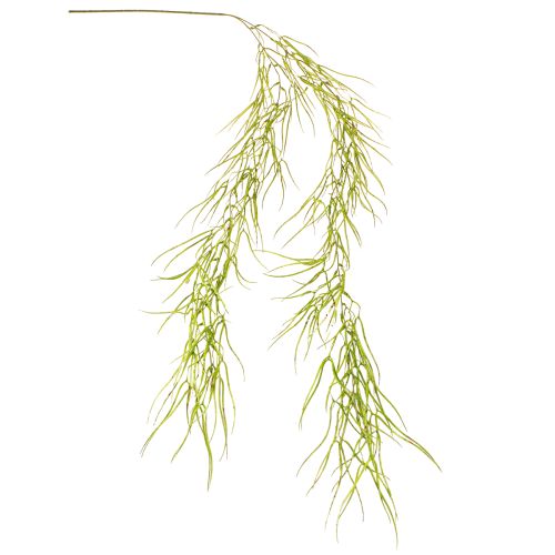Artículo Suculenta colgante verde 145cm