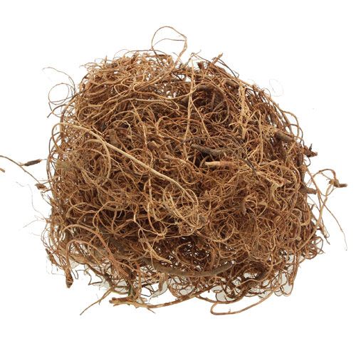 Floristik24 Deco fibra Tamarind Fiber Natur material artesanal fibra natural 500g