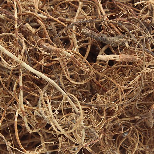 Floristik24 Deco fibra Tamarind Fiber Natur material artesanal fibra natural 500g