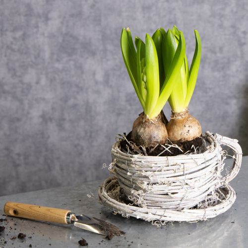 Artículo Taza de té de material natural con encanto rústico para decoración interior exclusiva 13cm