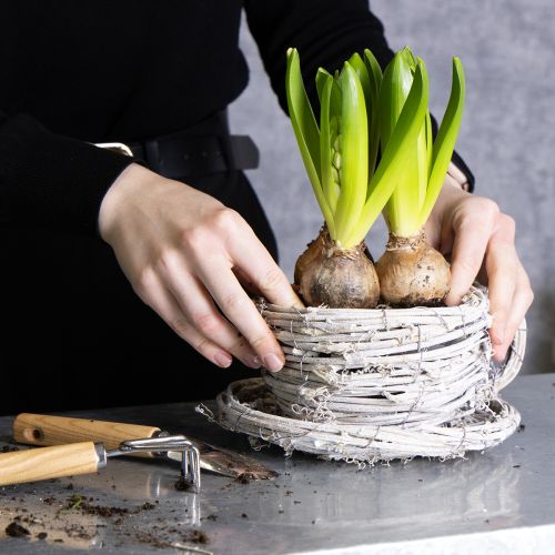 Artículo Taza de té de material natural con encanto rústico para decoración interior exclusiva 13cm