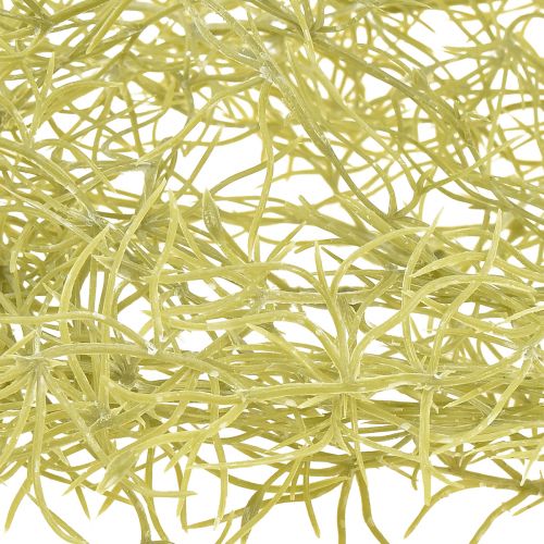 Artículo Tillandsia decorativa colgante Tillandsia artificial verde blanco 180cm