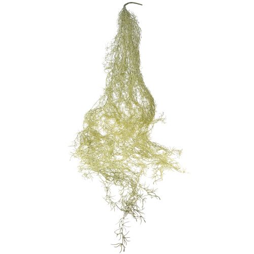 Artículo Tillandsia decorativa colgante Tillandsia artificial verde blanco 180cm