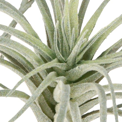 Artículo Plantas artificiales suculentas Tillandsia de 13 cm