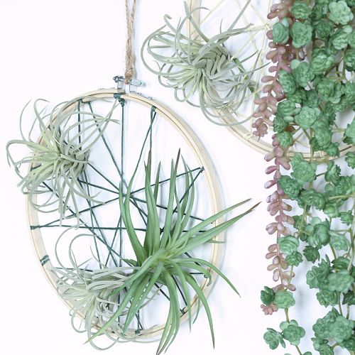 Artículo Plantas artificiales suculentas Tillandsia de 13 cm