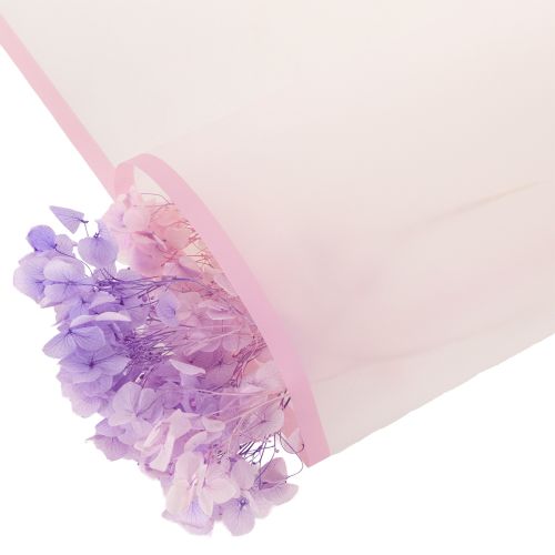 Película floral Transmatt rosa resistente a la humedad, 57 cm, precortada para ramos, 20 unidades. | Floristik24.es