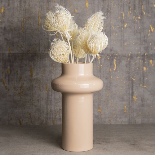Artículo Flores secas de hinojo crema blanqueadas, ramo de 45 cm, 10 unidades