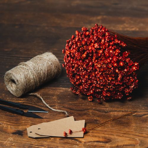 Artículo Ramo de flores secas, un encantador complemento para jarrones o arreglos, 44 cm.