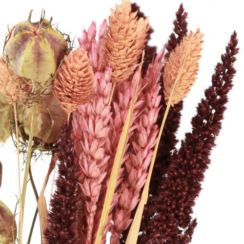 Floristik24 Ramo de flores secas grano Nigella rosa naranja 50cm