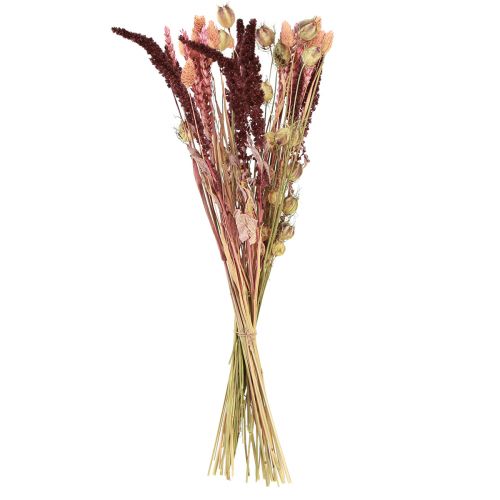 Floristik24 Ramo de flores secas grano Nigella rosa naranja 50cm