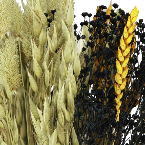 Floristik24 Ramo de flores secas grano ramo seco amarillo azul 50cm