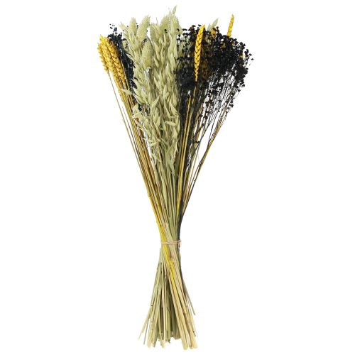 Floristik24 Ramo de flores secas grano ramo seco amarillo azul 50cm