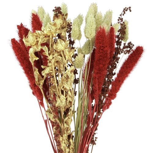Floristik24 Ramo de flores secas grano ramo seco oro rojo 50cm